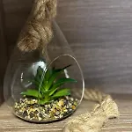 Apartment Revert